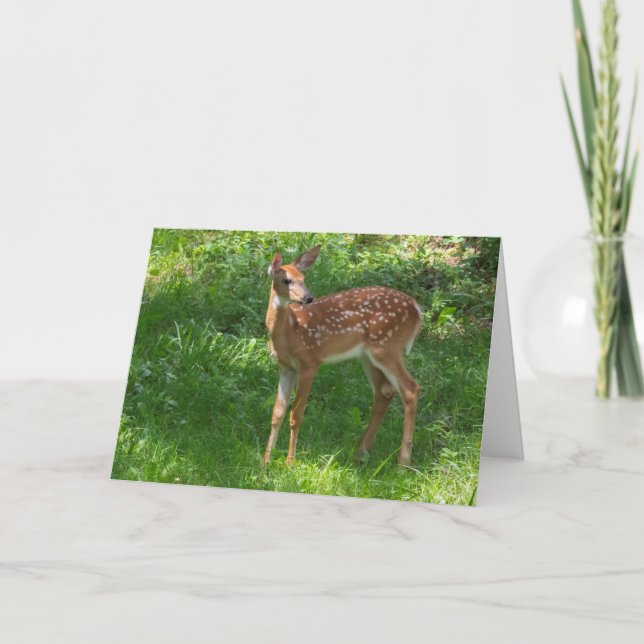 Blank Greeting Card Fawn (Front)