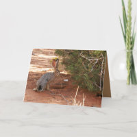 Blank Greeting card featuring Jackrabbit in Desert