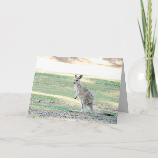 Blank greeting card featuring Kangaroo joey (Front)