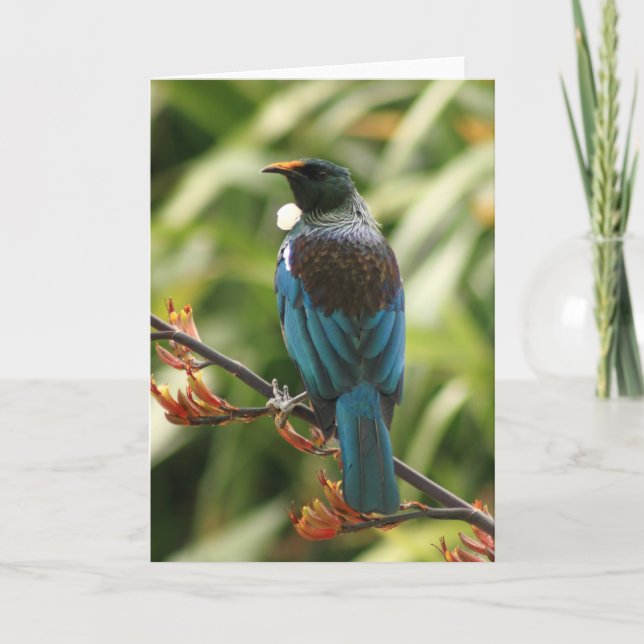 Blank Greeting Card: NZ Tui Bird Card (Front)
