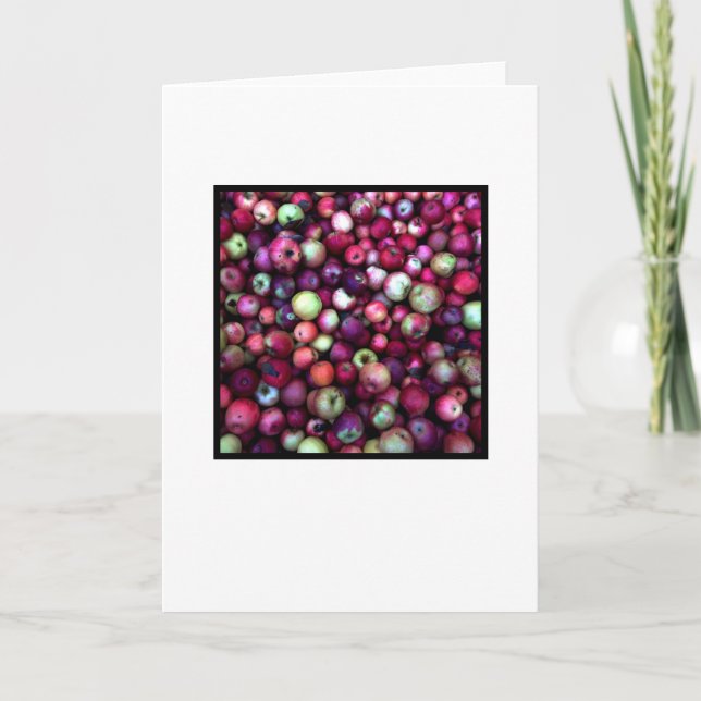 Blank greeting card, photo on front card (Front)
