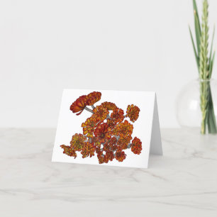 Blank Greeting Card Red Succulents