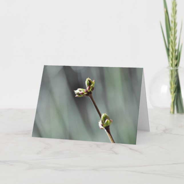 Blank greeting card with Budding Lilac photo (Front)