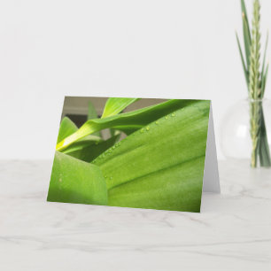 Blank greeting card with happy green Orchid leaves