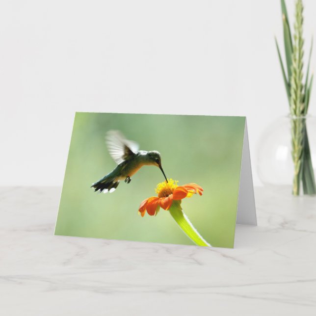 Blank greeting card with hummingbird and flower (Front)