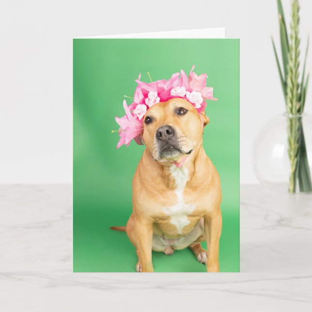 Blank inside card (Front)