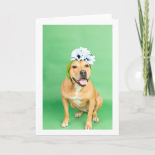 Blank inside card