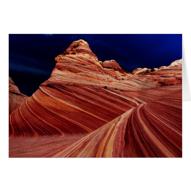 Blank Inside Card, Nature's Incredible Artwork (Front Horizontal)