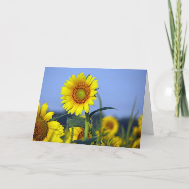 Blank inside for your customisation card (Front)