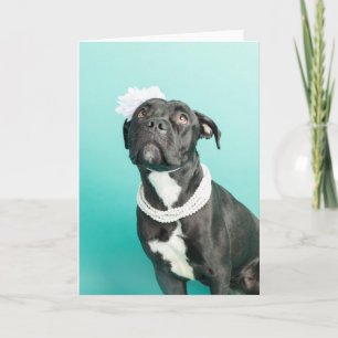 Blank inside greeting card