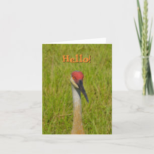 Blank Inside, Sand Hill Crane Hello! Greeting Card