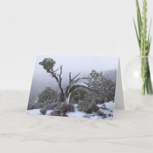 Blank Inside Winter Tree Greeting Card