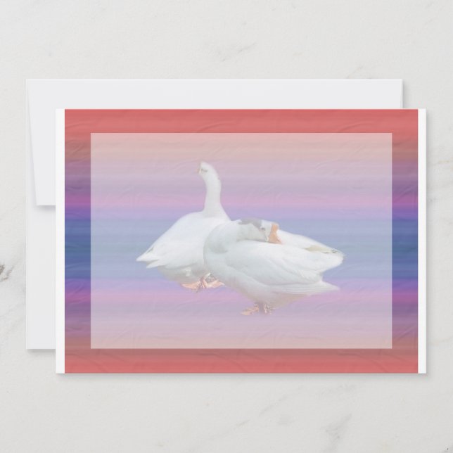 blank invitation,all purposes. invitation (Front)