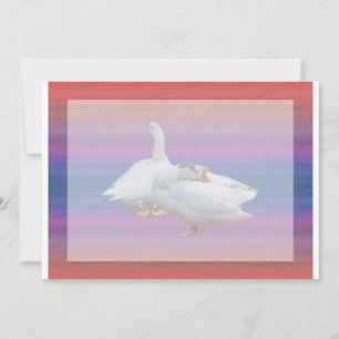 blank invitation,all purposes. invitation