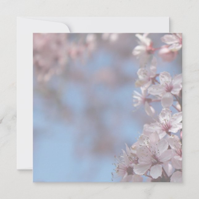 blank invitation, cherry blossoming tree invitation (Front)