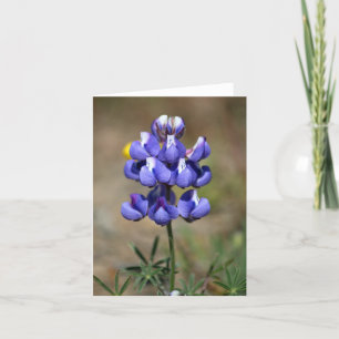 Blank, Lupin Thank You Card