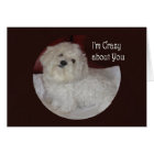 Blank Maltese "I'm Crazy About You" Love Card