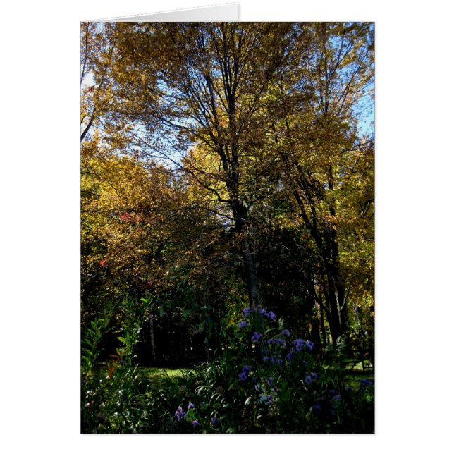 Blank_Mauve Tree (Front)