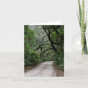 Blank Note Card