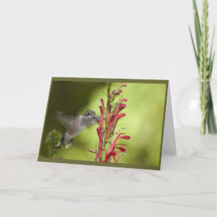 Blank Note Card