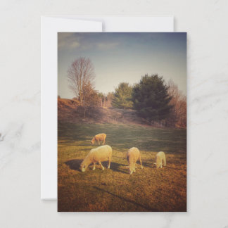 Blank Note Card