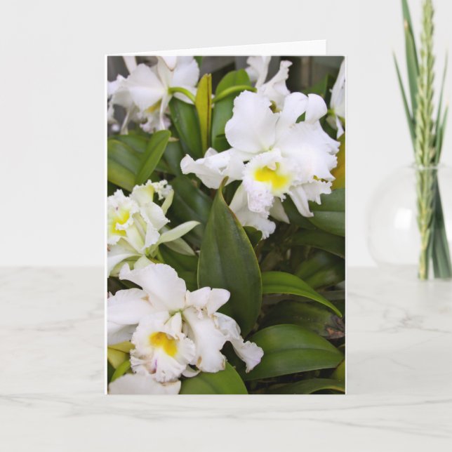 Blank Note Card (Front)