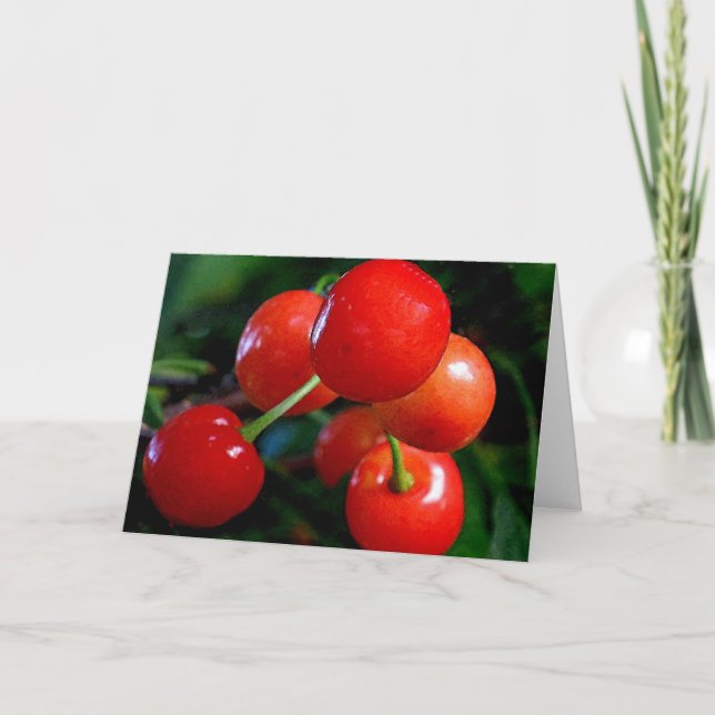 Blank Note Card: Cherries Card (Front)