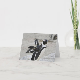 Blank Note Card - Flapping Penguin