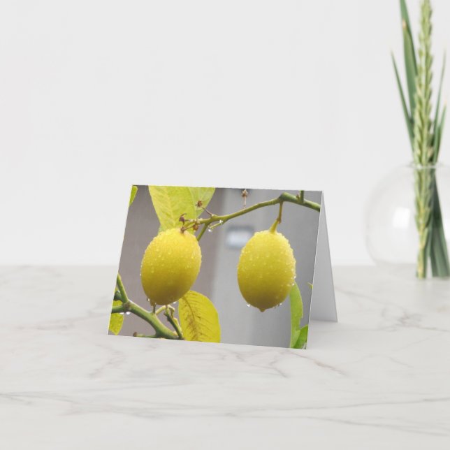 Blank Note Card -- Lemons (Front)