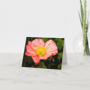 Blank Note Card - Poppy