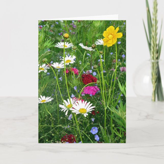 Blank Note Card: Spring Wildflowers Card (Front)