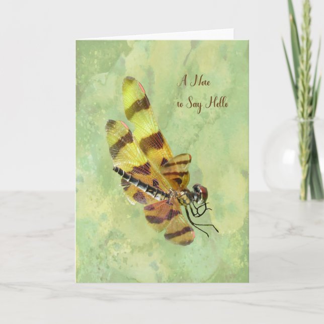 Blank Note Card with Dragonfly (Front)