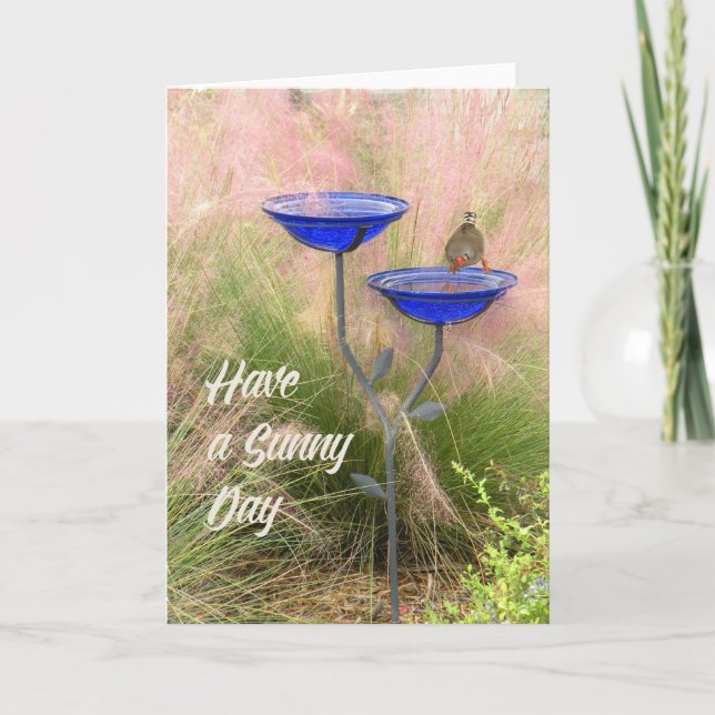 Blank Note Card with Finch at Bird Bath (Front)