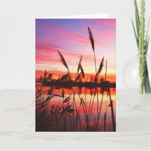 Blank Note Greeting Card
