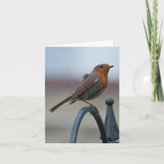 Blank Notecard with British Robin