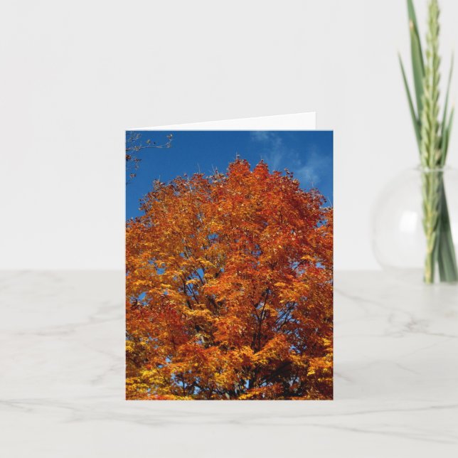 Blank_Orange Tree Top Fire Card (Front)