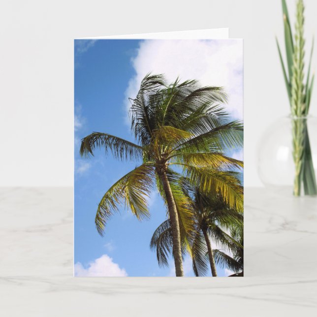 Blank palm tree card (Front)