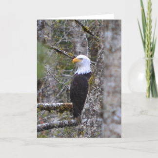Blank Photo Greeting Card