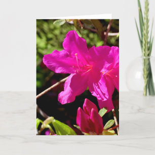 Blank Pink Azaelea Card