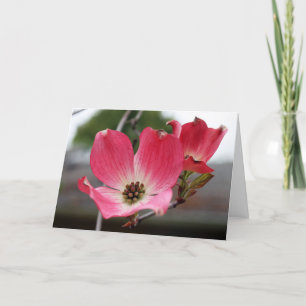 Blank Pink Dogwood Card