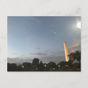 Blank Postcard