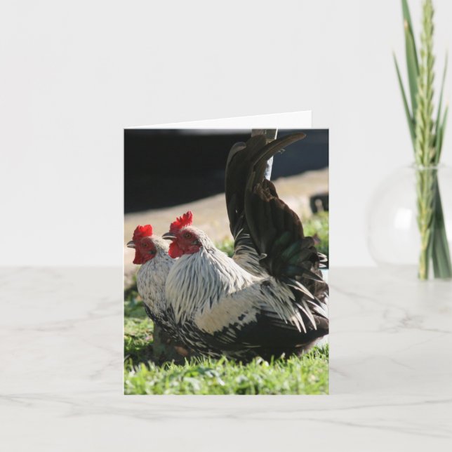 Blank, Rooster Thank You Card (Front)