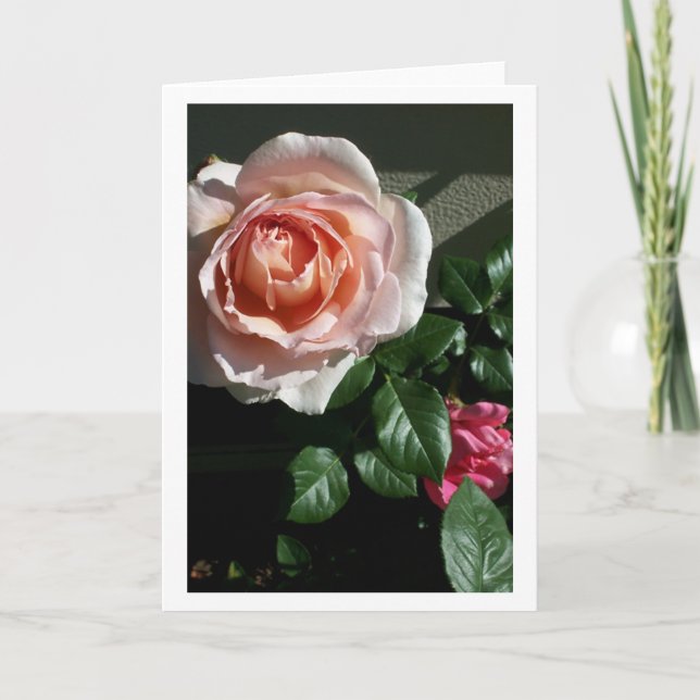 Blank Rose Card #2 (Front)