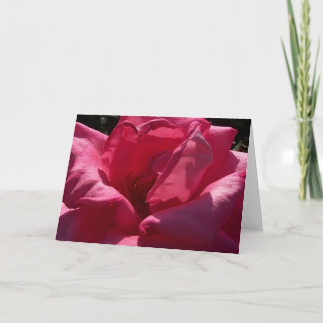 Blank Rose Greeting Card (Front)