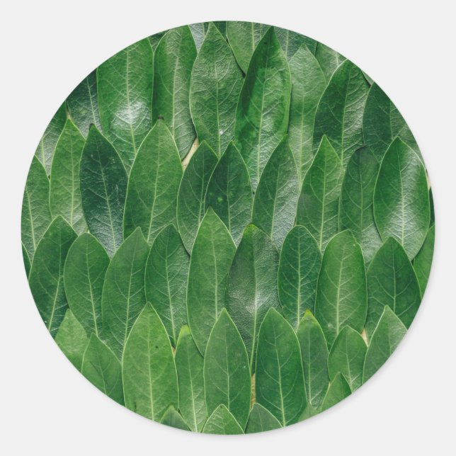 Blank Template Green Leaf Pattern Print Classic Round Sticker (Front)