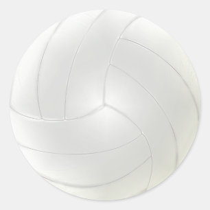 Blank Volleyball Stickers to Hand Write Your Names