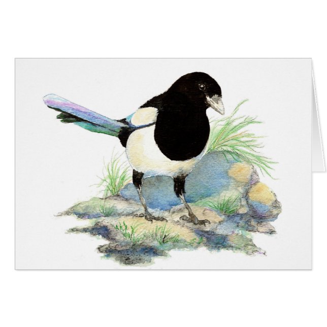 Blank  Watercolor Magpie Garden Bird (Front Horizontal)