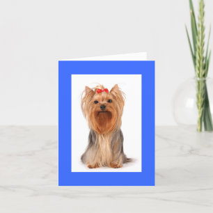 Blank Yorkshire Terrier Puppy Dog Notecard