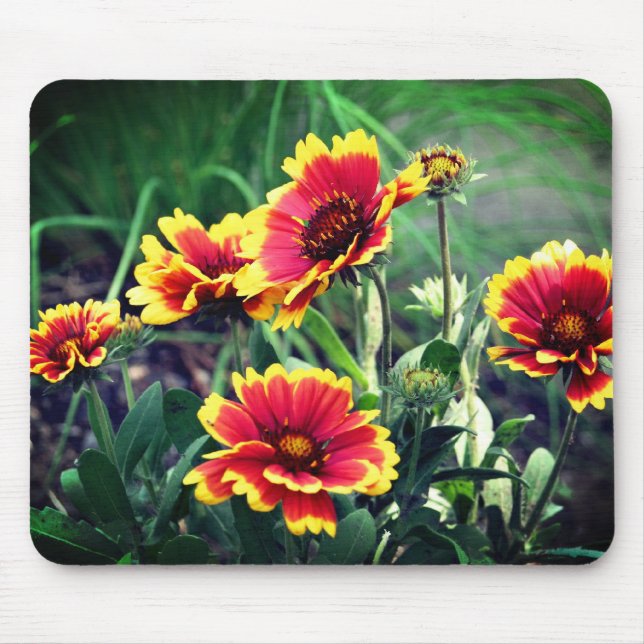 Blanket Daisy Flowers  Mouse Pad (Front)