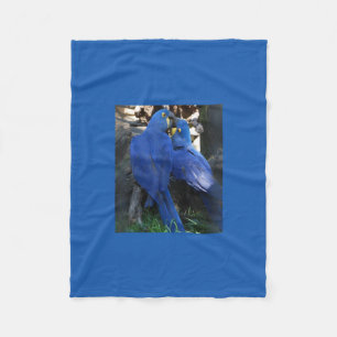 blanket _ parrots